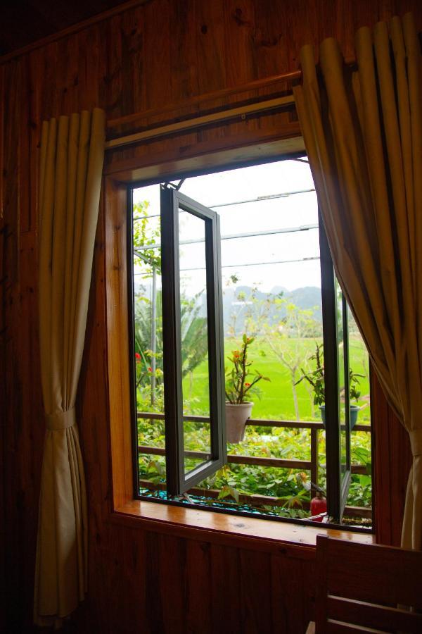 Jungle Boss Travel Lodge Phong Nha Exterior foto