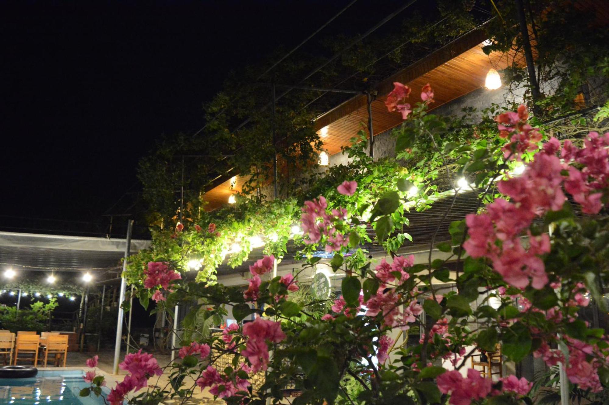 Jungle Boss Travel Lodge Phong Nha Exterior foto